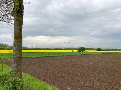 Umfeld Köln, Düseldorf